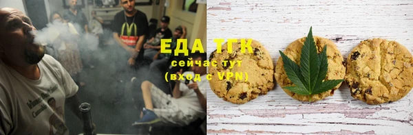 стаф Аркадак