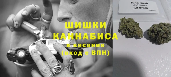прущие крисы Арсеньев