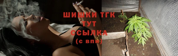 стаф Аркадак