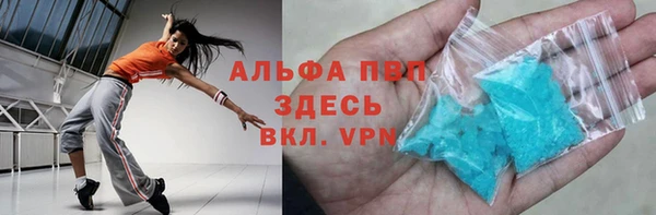 стаф Аркадак