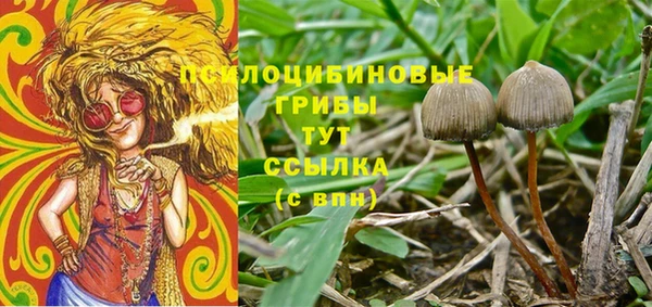 прущие крисы Арсеньев