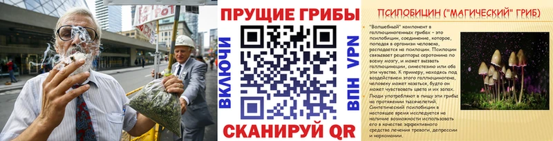 Галлюциногенные грибы GOLDEN TEACHER  Долгопрудный 