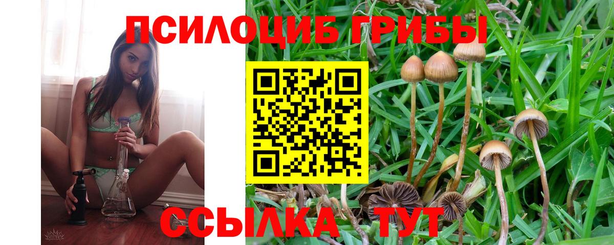 Долгопрудный  Галлюциногенные грибы MAGIC MUSHROOMS  Вход с VPN  Галлюциногенные грибы прущие грибы 