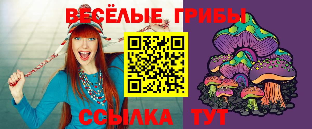 Галлюциногенные грибы прущие грибы Долгопрудный